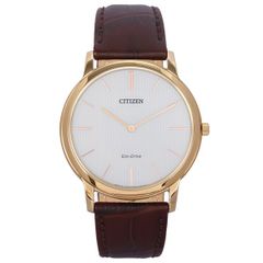 Đồng hồ Nam Citizen AR1113-12A - Eco-Drive 