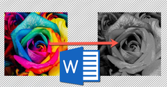  Cách đổi ảnh màu sang ảnh đen trắng trong Microsoft Word nhanh nhất 