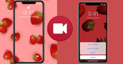  3 cách cài video làm hình nền điện thoại iPhone siêu đơn giản 