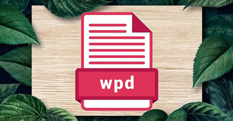 File WPD là gì? Cách mở và chuyển đổi file WPD sang DOC đơn giản