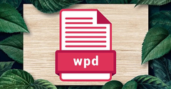  File WPD là gì? Cách mở và chuyển đổi file WPD sang DOC đơn giản 