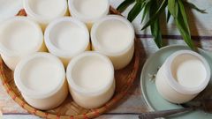 Cách làm sữa chua không đường ngon mịn tại nhà cực kỳ đơn giản 