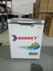 Tủ đông Sanaky 100 lít VH-1599HYK