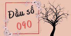  Đầu số 090 là mạng gì? Ý nghĩa của đầu số 090? Có phải số tài lộc? 