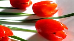  Cách làm salad hoa tulip tươi mát đơn giản cho chị em ngày 20/10 