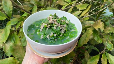 Cách làm canh hến nấu rau ngót đơn giản thanh nhiệt cơ thể hiệu quả