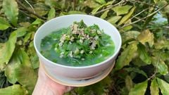  Cách làm canh hến nấu rau ngót đơn giản thanh nhiệt cơ thể hiệu quả 