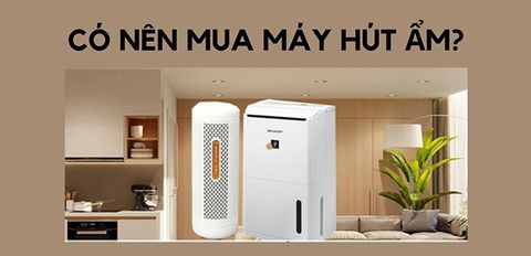 Có nên mua máy hút ẩm hay không? 5 tiêu chí chọn mua