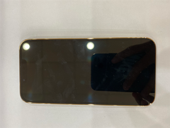  Điện thoại iPhone 13 Pro 1TB Gold 
