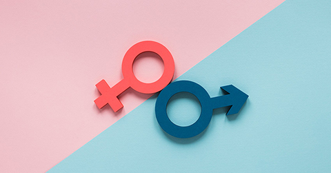 Male, Female nghĩa là gì? Là giới tính nào? Cách sử dụng chuẩn xác