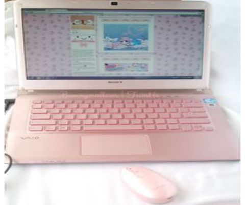 Vỏ Laptop Sony VAIO FIT 15E SVF 1532LSG