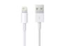 Dây cáp Lightning 2 m Apple MD819