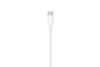 Cáp Type C - Lightning 2m Apple MKQ42 Trắng