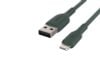 Cáp Lightning MFI 1m Belkin CAA001