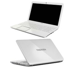 Vỏ mặt C Toshiba Dynabook Satellite T41