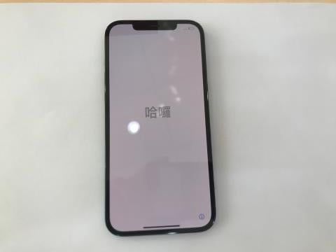 Điện thoại iPhone 12 Pro Max 128GB Pacific Blue (mã sp: #34282928)