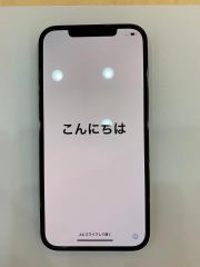  Điện thoại iPhone 12 Pro Max 256GB Pacific Blue (mã sp: #32740753) 