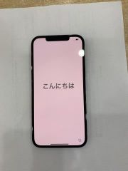  Điện thoại iPhone 12 Pro Max 256GB Pacific Blue 