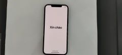  Điện thoại iPhone 12 Pro Max 256GB Pacific Blue (mã sp: #34062740) 