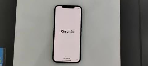 Điện thoại iPhone 12 Pro Max 256GB Pacific Blue (mã sp: #34062739)