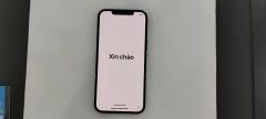  Điện thoại iPhone 12 Pro Max 256GB Pacific Blue (mã sp: #34062739) 