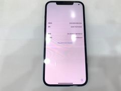  Điện thoại iPhone 12 Pro Max 256GB Pacific Blue (mã sp: #34231239) 