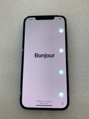  Điện thoại iPhone 12 Pro Max 256GB Pacific Blue (mã sp: #33731073) 
