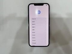  Điện thoại iPhone 12 Pro Max 256GB Pacific Blue (mã sp: #34374427) 