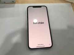  Điện thoại iPhone 12 Pro Max 512GB Pacific Blue 