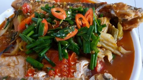Cách làm cá mè om dưa chua (cải chua) thơm ngon, đậm đà đơn giản tại nhà