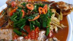  Cách làm cá mè om dưa chua (cải chua) thơm ngon, đậm đà đơn giản tại nhà 