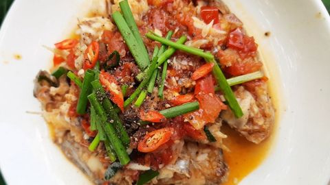 2 Cách làm cá rô phi sốt cà chua thơm ngon đậm đà cho bữa cơm