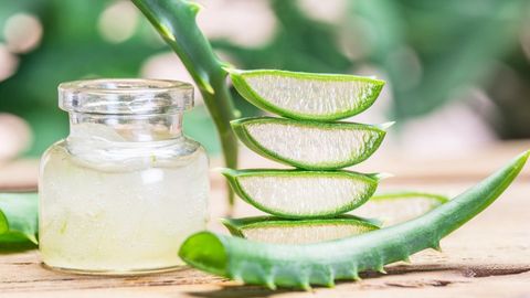 Các cách làm nha đam không bị đắng giúp ngon hơn một cách đơn giản nhất