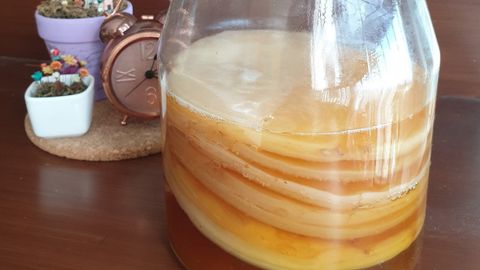 Kombucha là gì? Cách nuôi Scoby trong trà Kombucha, cách bảo quản kombucha