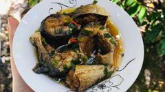  Cách làm cá thu Nhật - cá saba kho nước dừa đậm đà đưa cơm 