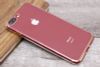Ốp lưng iPhone 7 Plus - 8 Plus nhựa dẻo TPU Electorplate 2 OSMIA Gold
