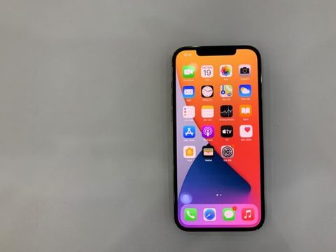 Điện thoại iPhone 12 Pro Max 256GB Graphite (mã sp: #33643109)