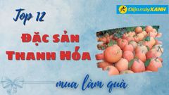  Top 12 đặc sản Thanh Hóa làm quà thơm ngon khó cưỡng 