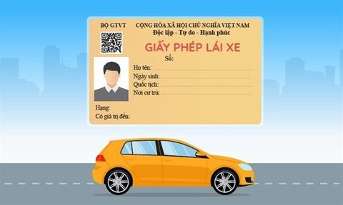 3 cách tra cứu thông tin bằng lái thật, giả qua mã QR trên điện thoại
