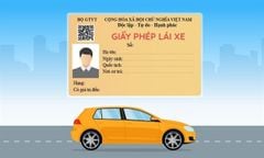  3 cách tra cứu thông tin bằng lái thật, giả qua mã QR trên điện thoại 