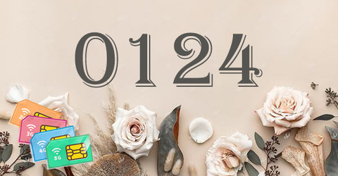 Đầu số 0124 là mạng gì? Đầu số 0124 chuyển thành đầu số nào?