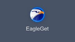  Cách tải, sử dụng Eagleget tăng tốc tải file trên máy tính nhanh chóng 