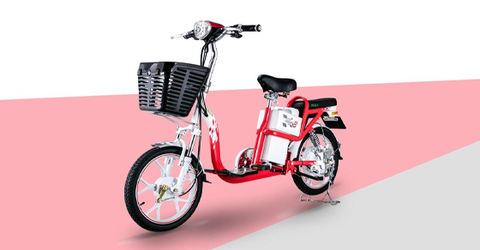 Xe đạp điện là gì? Cấu tạo? Có gì khác xe máy điện? Nên mua ở đâu?