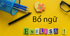  Bổ ngữ là gì trong tiếng Anh: Phân loại, vị trí, cách dùng, bài tập 