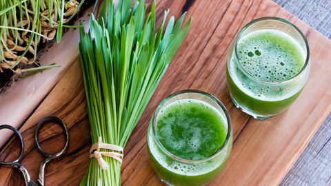 Cỏ lúa mì là gì? Cỏ lúa mì có tốt cho sức khỏe, tác dụng của cỏ lúa mì