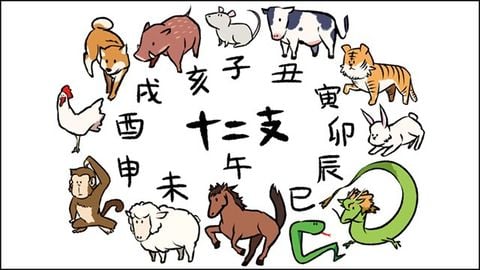 Thứ tự 12 con giáp | Cách sắp xếp và giải nghĩa tính cách
