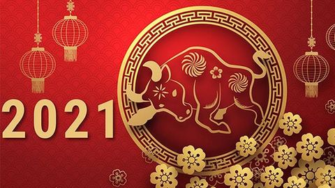 50 mẫu banner Tết 2021 chất lượng cao | Vector, PSD, PNG miễn phí