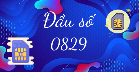 Đầu số 0829 là mạng gì? Ý nghĩa của đầu số 0829? Có phải số may mắn?