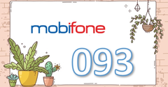  Đầu số 093 là mạng gì? Ý nghĩa của đầu số 093? Có phải là số tài lộc? 