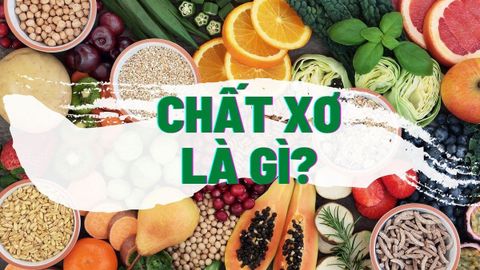 Chất xơ là gì, có mấy loại? Vai trò và cách bổ sung chất xơ an toàn nhất